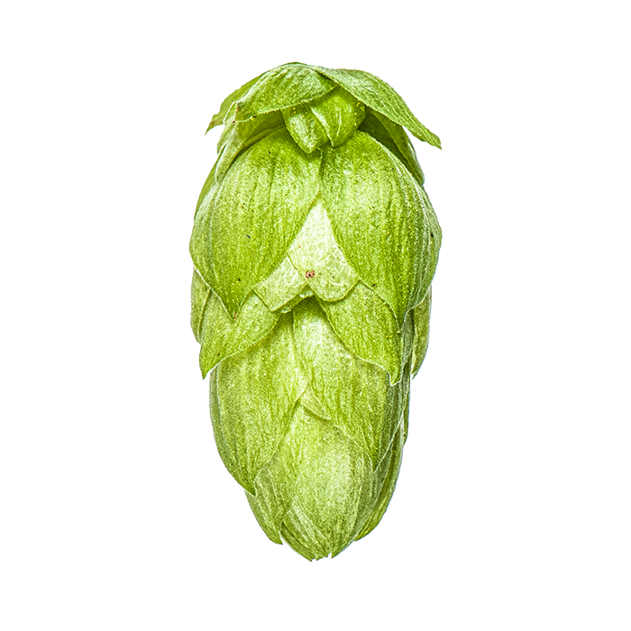 HOUBLON RAKAU PELLET YAKIMA