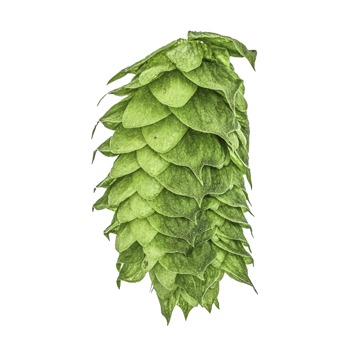 HOUBLON HBC 522 PELLET YAKIMA 2025