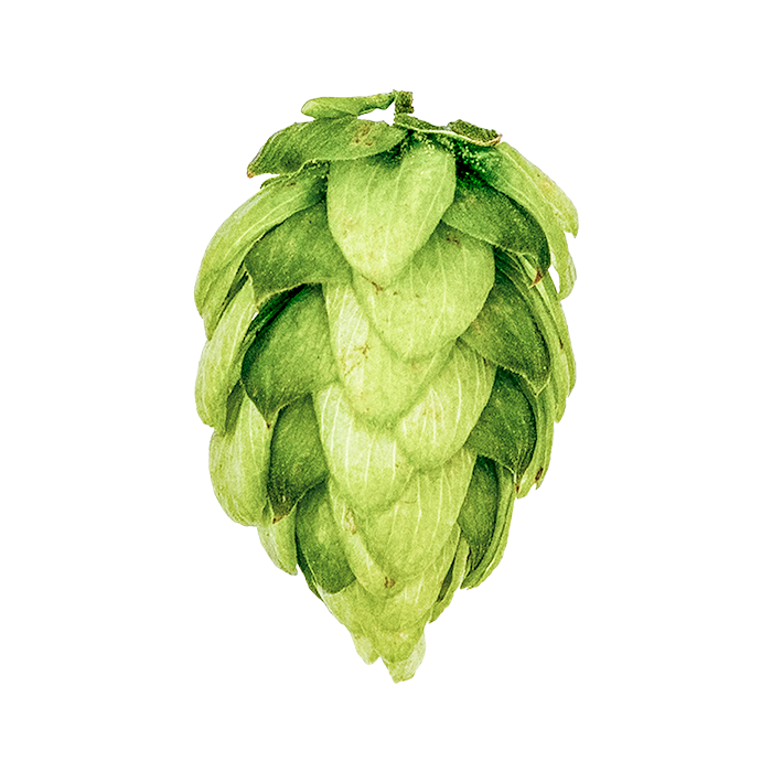 HOUBLON CRYO HOPS COLUMBUS PELLET YAKIMA 