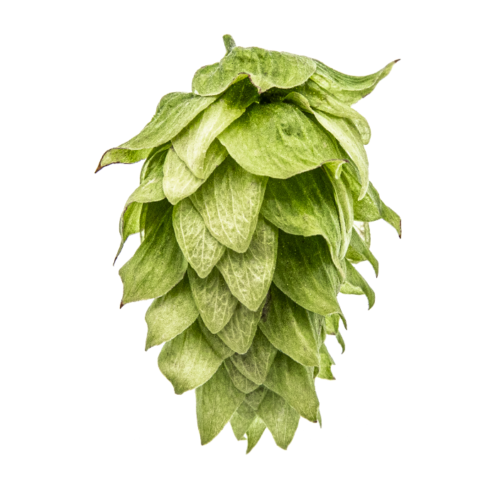 HOUBLON CHINOOK PELLET YAKIMA 2025  