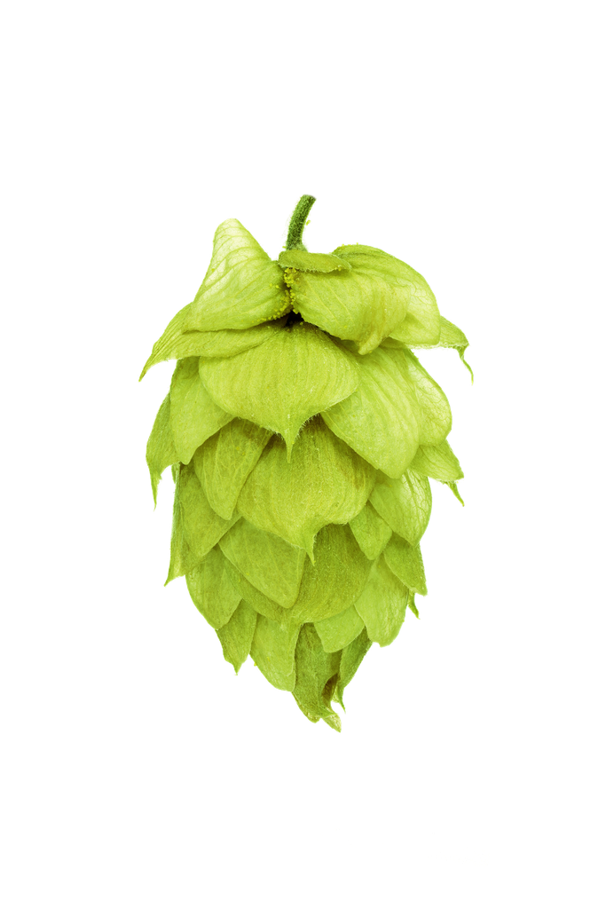 HOUBLON KOHATU PELLET HOP REVOLUTION 2025