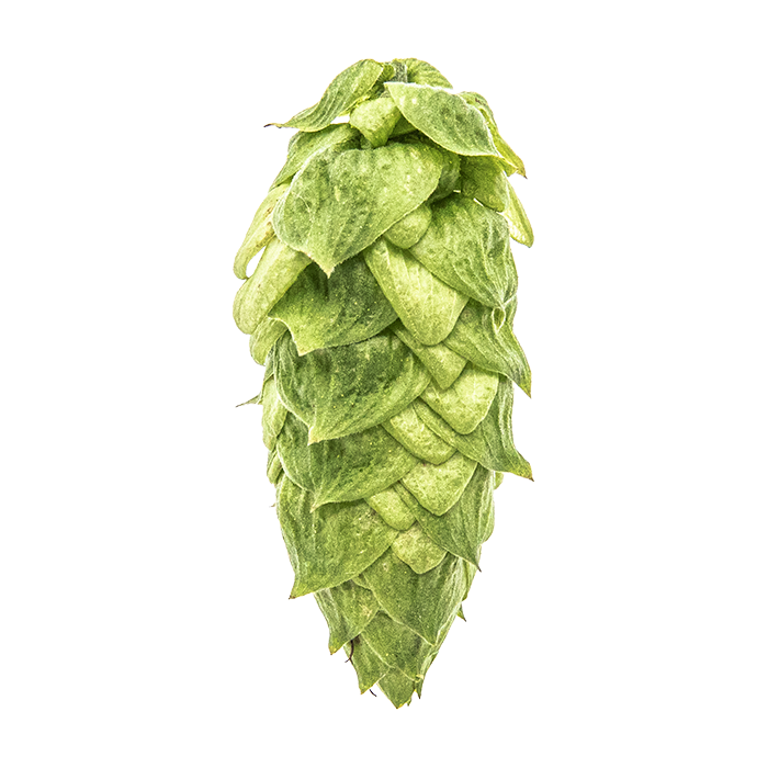 HOUBLON WARRIOR PELLET YAKIMA 2025