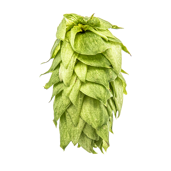 HOUBLON PALISADE PELLET YAKIMA 2025