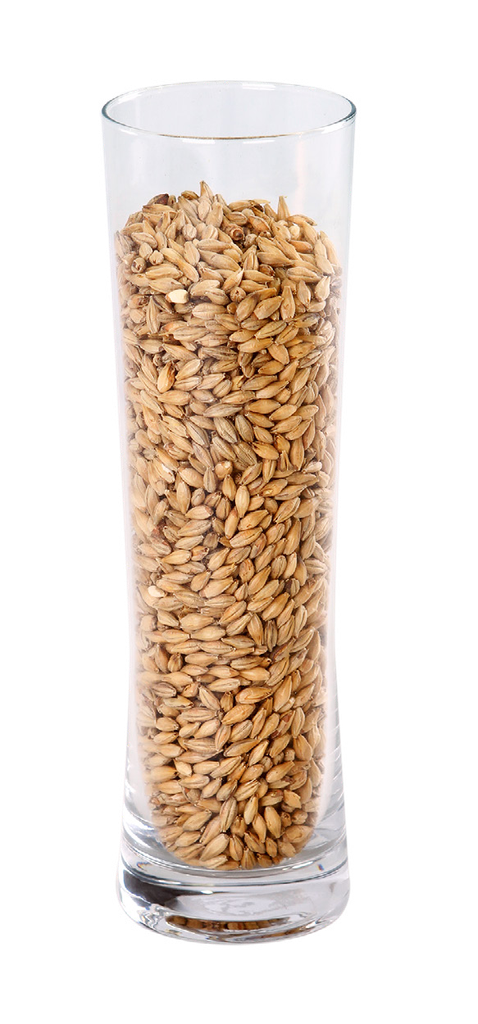 IREKS MUNICH MALT                      