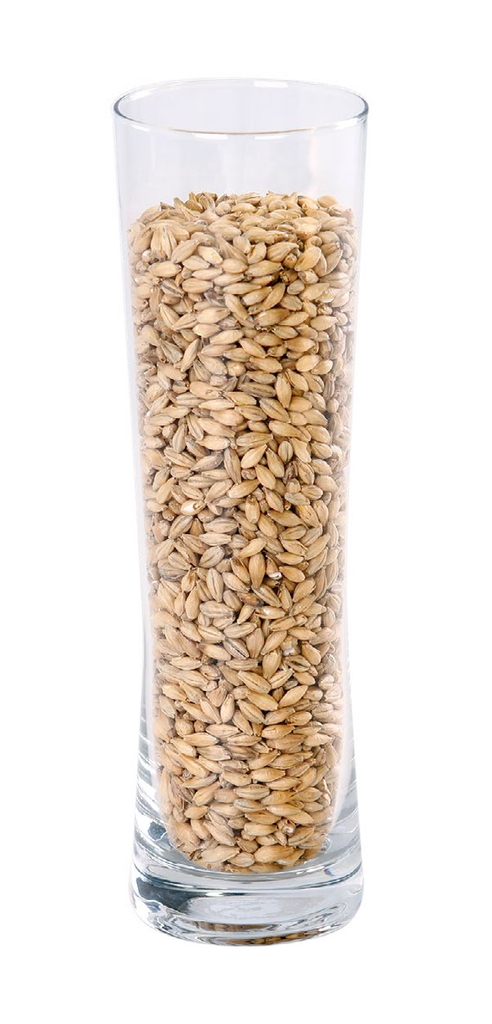 IREKS PILSNER MALT                     
