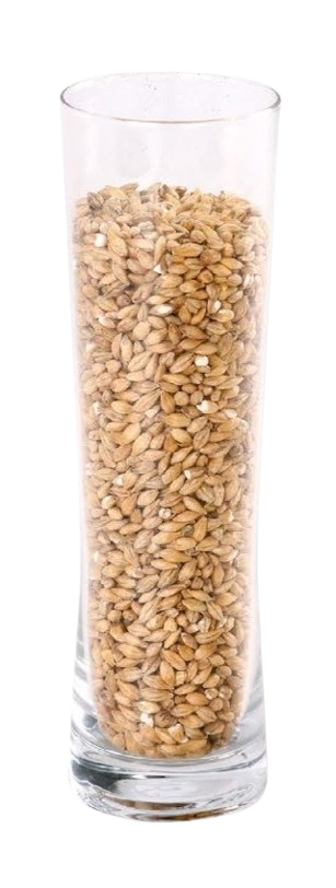 IREKS SOUR MALT                        
