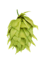 HOUBLON RIWAKA PELLET HOP REV. 2024