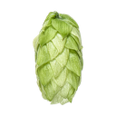 HOUBLON KOHATU PELLET YAKIMA 2024