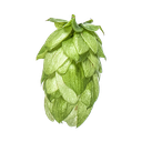 HOUBLON WAI-ITI PELLET YAKIMA 2024