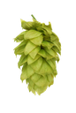 HOUBLON MOUTERE PELLET HOP REVOLUTION 2024