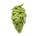 HOUBLON NUGGET PELLET 2025