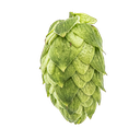 HOUBLON AMARILLO PELLET 1KG YAKIMA 2024