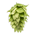 HOUBLON CHINOOK PELLET 1KG 2024