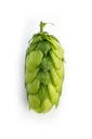 HOUBLON HERSBRUCKER PELLET 