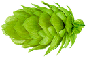 HOUBLON STYRIAN G. CELEIA PELLET HOPSI 2024