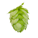 CGX AZACCA CRYOGENIC LUPULIN PELLET 2024