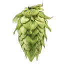 HOUBLON CENTENNIAL PELLET YAKIMA 