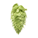 HOUBLON EL DORADO PELLET YAKIMA 