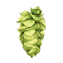 HOUBLON  DOLCITA PELLET YAKIMA 
