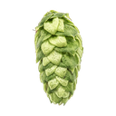 HOUBLON LORAL PELLET YAKIMA