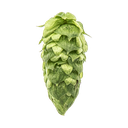 HOUBLON SIMCOE PELLET YAKIMA 