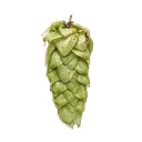 HOUBLON MOUTERE PELLET YAKIMA 