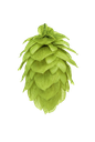 HOUBLON NELSON SAUVIN PELLET HOP REVOLUTION 