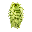 HOUBLON PALISADE PELLET YAKIMA 