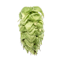 HOUBLON SABRO PELLET YAKIMA