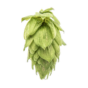 HOUBLON SORACHI ACE PELLET YAKIMA 