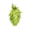 HOUBLON MOTUEKA PELLET HOP REVOLUTION 