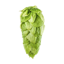 HOUBLON CRYO HOPS SUPERDELIC PELLET YAKIMA