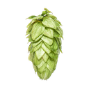 HOUBLON CRYO HOPS MOTUEKA PELLET YAKIMA