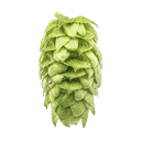 HOUBLON CRYO HOPS MOSAIC PELLET YAKIMA 