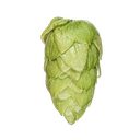 HOUBLON RIWAKA PELLET YAKIMA