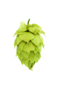 HOUBLON KOHATU PELLET HOP REVOLUTION
