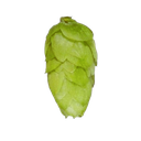 HOUBLON MOUTERE PELLET HOP REVOLUTION