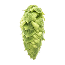 HOUBLON WARRIOR PELLET YAKIMA 