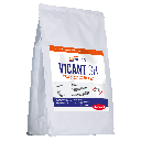 ANTIOXYDANT VICANT SB 2 KG